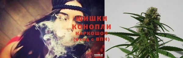 шишки Балабаново