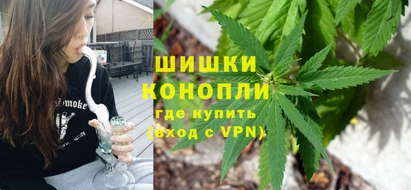 дживик Балахна