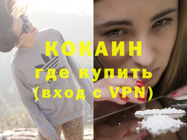 дживик Балахна